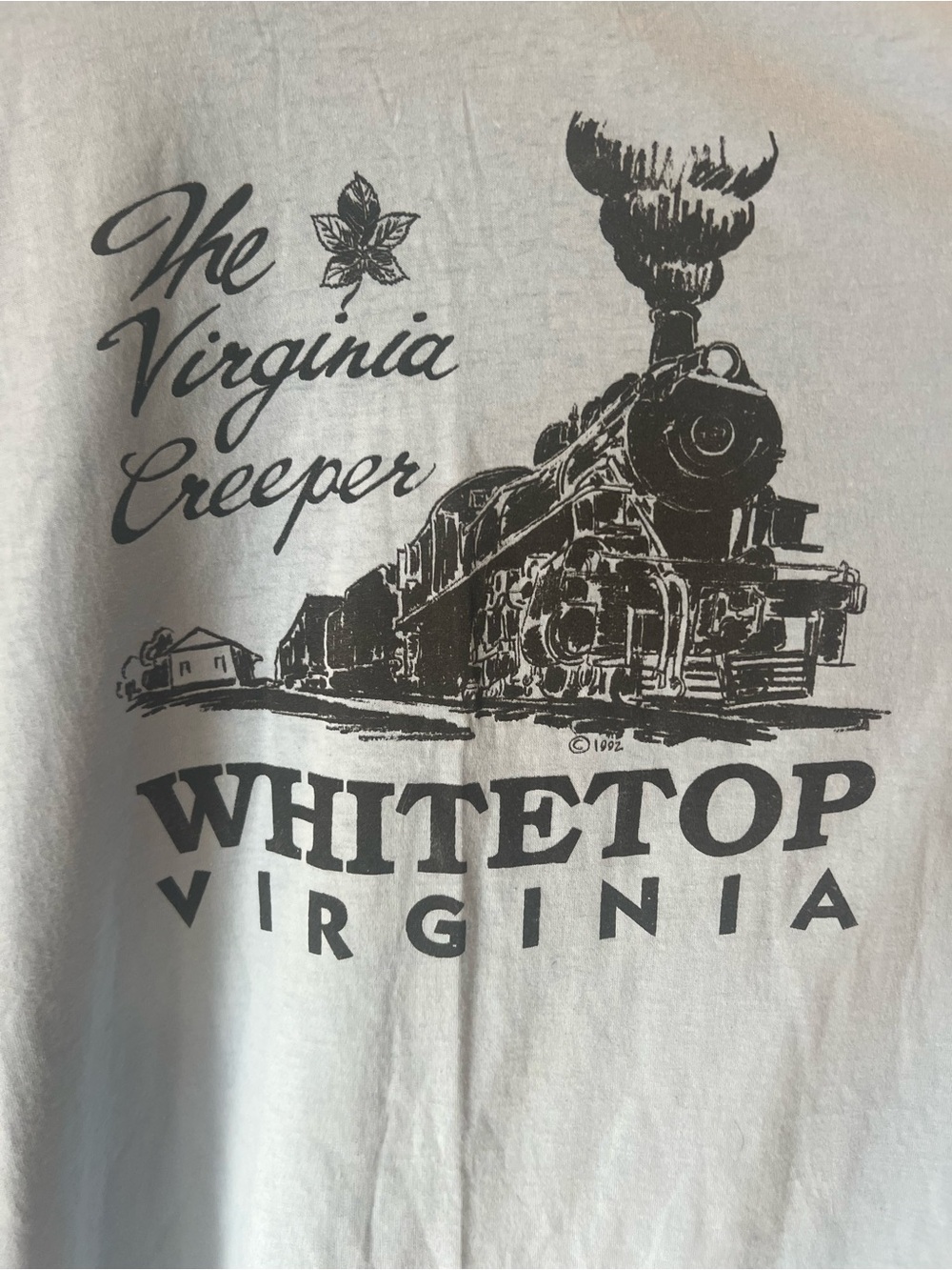 Hanes White Short Sleeve Tee with Black Train Graphic